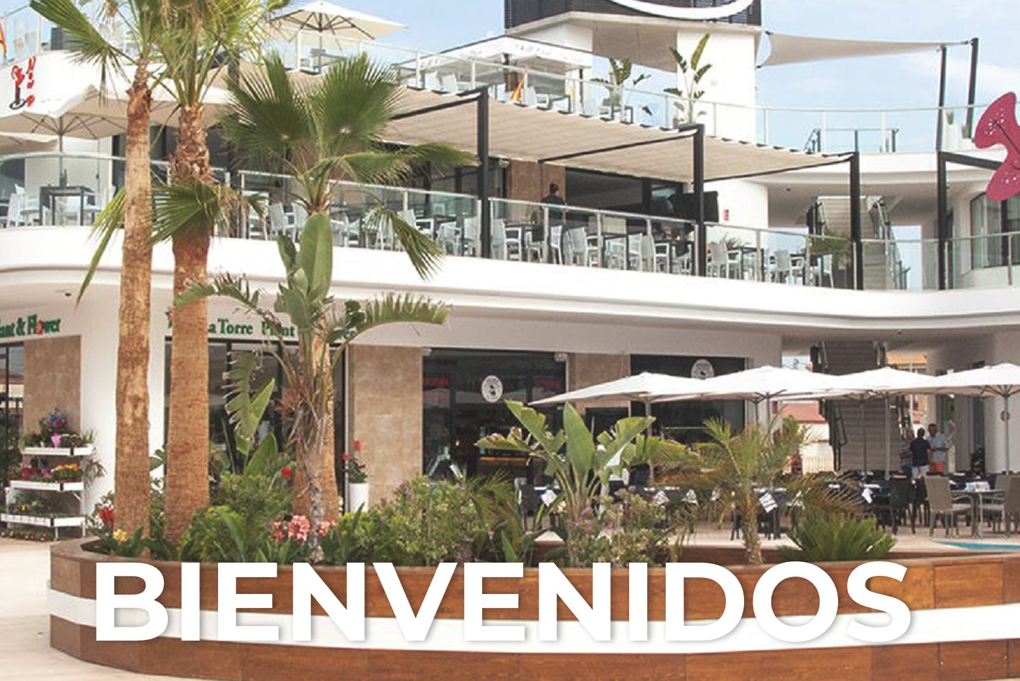 plaza_nueva_latorrre